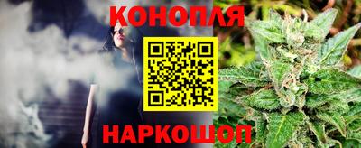 сатива Краснодар