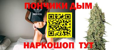 сатива Краснодар