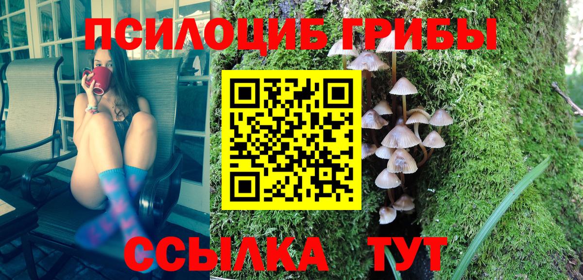 Гусь-Хрустальный  цена   Вход с VPN  Псилоцибиновые грибы Magic Shrooms 