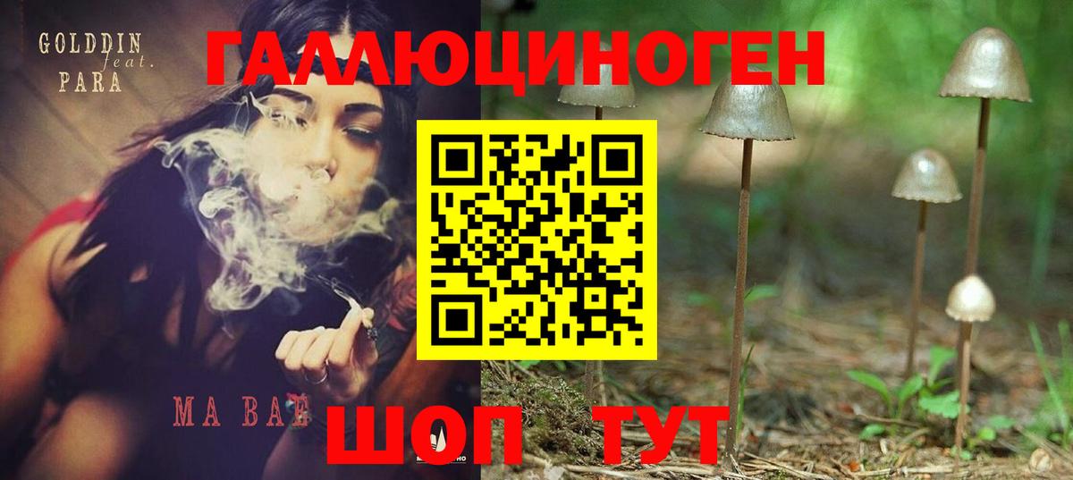 Галлюциногенные грибы Psilocybine cubensis Гусь-Хрустальный